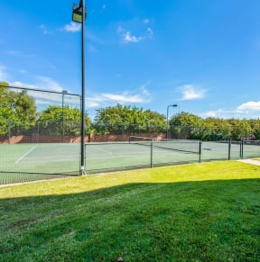 Tennis Courts at Island Park Apartments in Shreveport, Louisiana, LA
