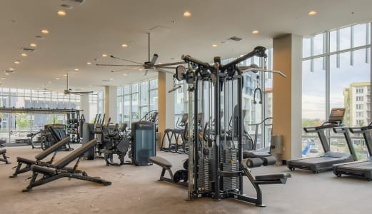 Vive Luxe Apartments Fitness Center
