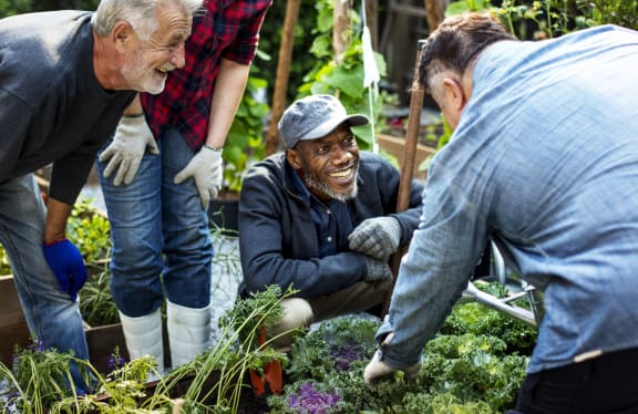 a group of people working in a garden
