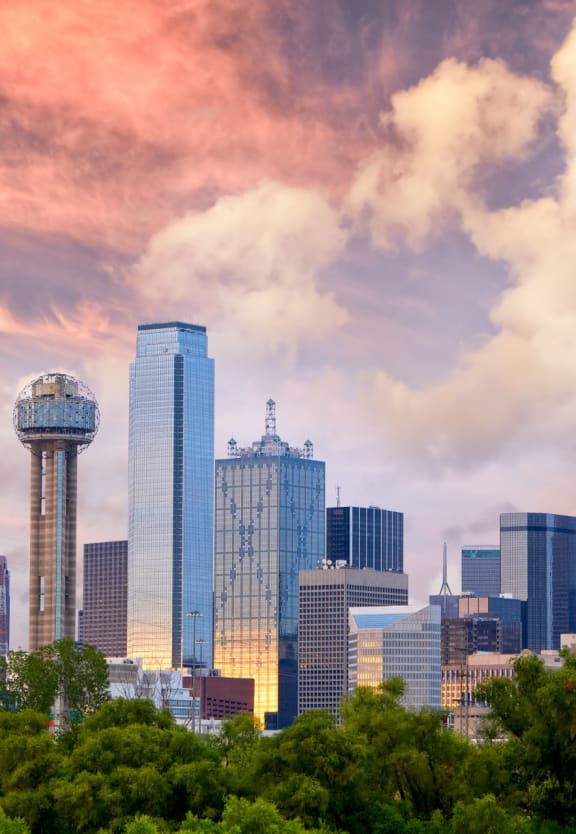 Dallas Skyline at The Fitz Apartments In Dallas, Texas