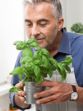 Guy with Basil