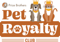 a picture of two dogs and a cat sitting on a ledge with the pet royals club