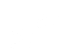 an illustration of a butterfly design on a black background