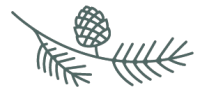 a neon illustration of a plant leaf on a black background