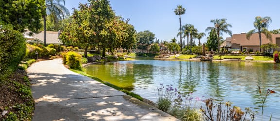 a path around a lake with houses and palm trees in the background