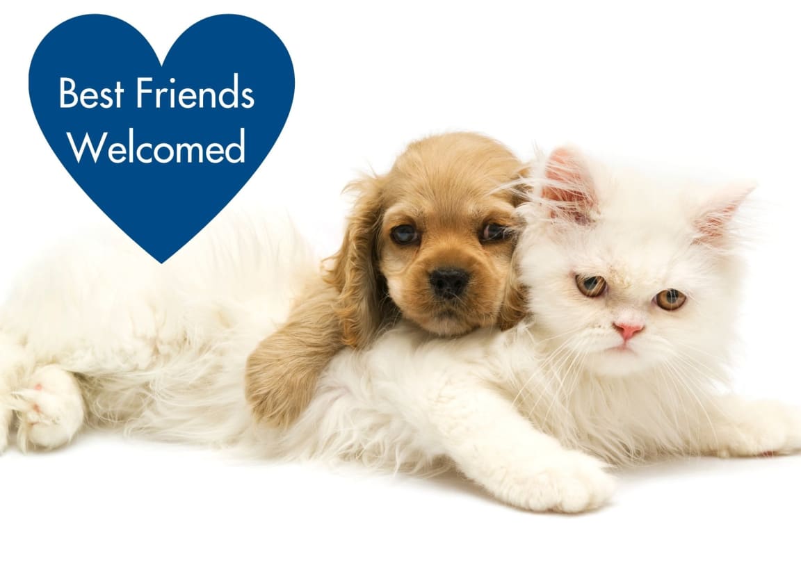 pet friendly apartments in lansing mi