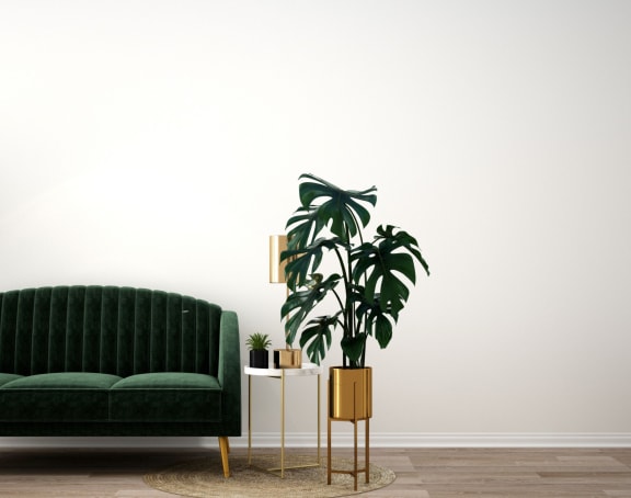 green velvet couch with side table and plants