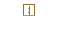 The Commons Apartments Logo