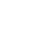 Logo NMS Cara Final.png