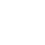 The Fitz Logo