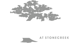 the giant at stone creek logo
