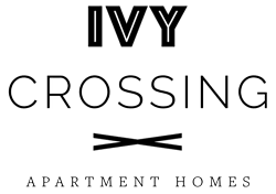 A black screen with a white line in the middle.