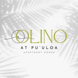 the logo for olivo apartment homes