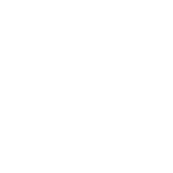 a green circle with the words kingsley excellence on top of it