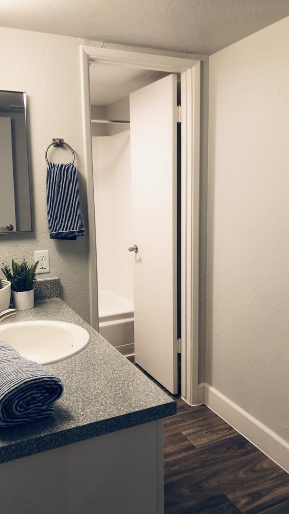 Bathroom Vanity at La Costa at Dobson Ranch Apartments