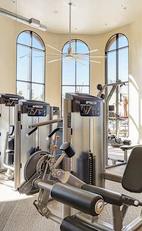 a gym with cardio equipment and windows at the resort at longboat key club