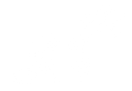 an illustration of a butterfly design on a black background