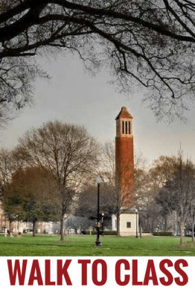 a tall clock tower in the middle of a park