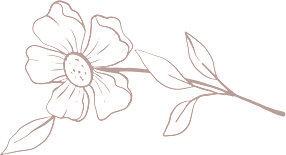 A black and white image of a flower.