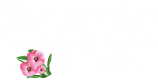 The Apartments at Cranmore Ridge