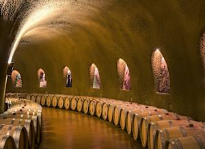 A wine cellar with rows of wine barrels.