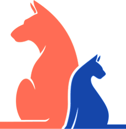 Two cats sitting side by side, one orange and one blue.