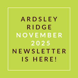 A green square with white text announcing the Ardsley Ridge November 2025 newsletter.