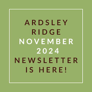 a green background with the words… october 2024 newsletter is
