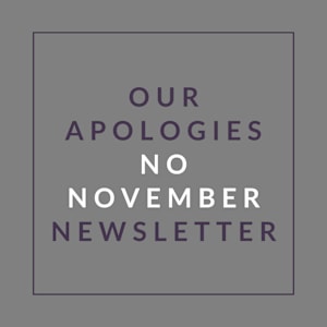A graphic with text stating "Our Apologies No November Newsletter".