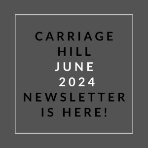 a white font print on a grey background with the words carrage hill junction 2024