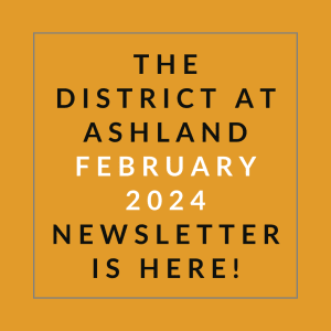 the district february 2024 newsletter is here poster