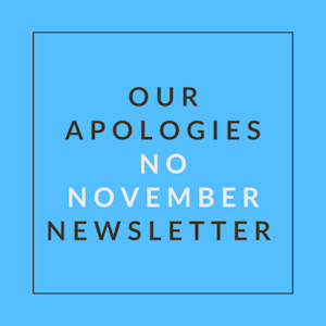 A blue square with text apologizing for the absence of a November newsletter.