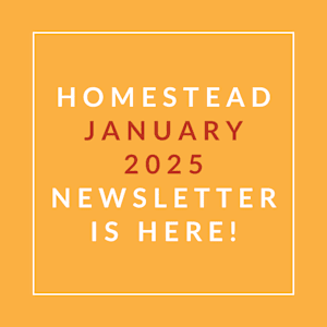 The image announces the availability of the Homestead January 2025 Newsletter.
