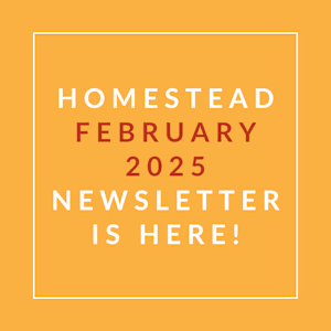 The image announces the availability of the Homestead February 2025 newsletter.