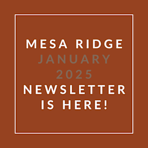 A brown square with white text announcing the Mesa Ridge January 2025 Newsletter.