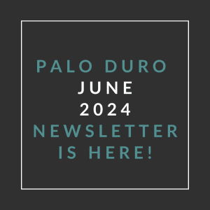 a white frame on a black background with the text palo duro juju