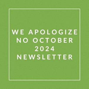 The image is a simple apology for the absence of a newsletter in October 2024.