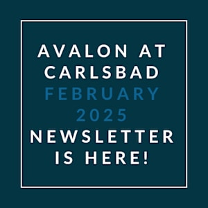Avalon at Carlsbad January 2025 newsletter.