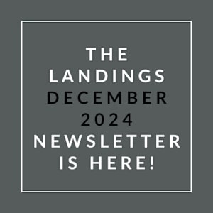 The image announces the availability of the Landings December 2024 newsletter.