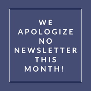A message apologizing for the absence of a newsletter in the current month.