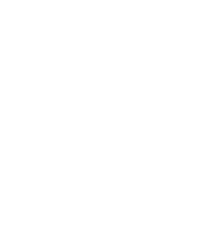 the logo of a saton plaza acupuncture clinic with a triangle and the word acupuncture