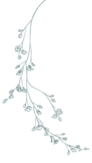 A branch with leaves and flowers is displayed.