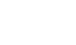 White The Fitz Logo