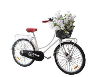 A bicycle with a basket full of white flowers.