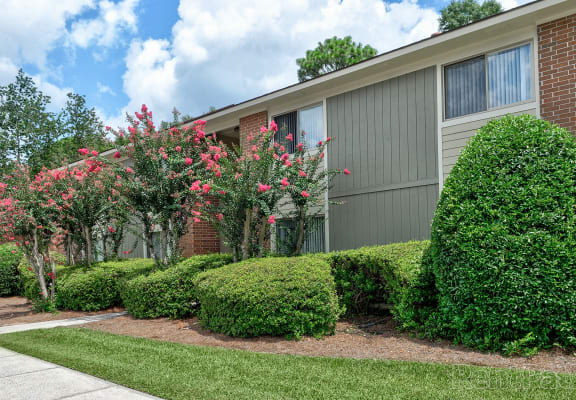 southside savannah homes for rent