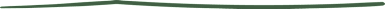 A green curved line on a white background.