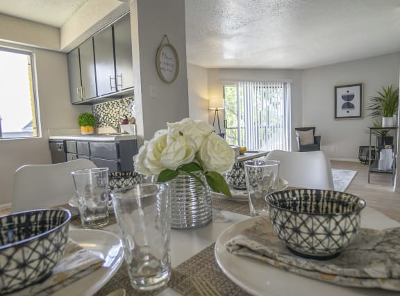 altitude apartments in san antonio tx