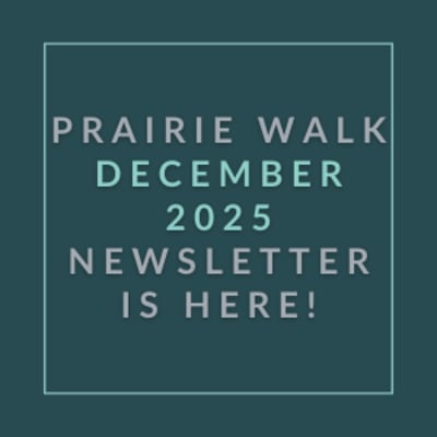 The image announces the availability of the Prairie Walk December 2025 newsletter.
