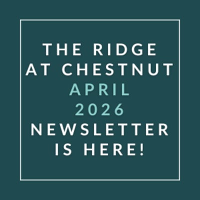 The image announces the availability of the Ridge at Chestnut April 2026 newsletter.