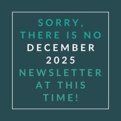 The image displays a message apologizing for the absence of a December 2025 newsletter.